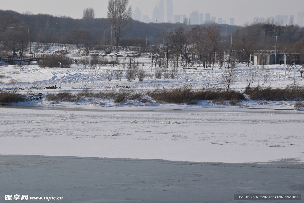 郊外枯树林冬季雪景