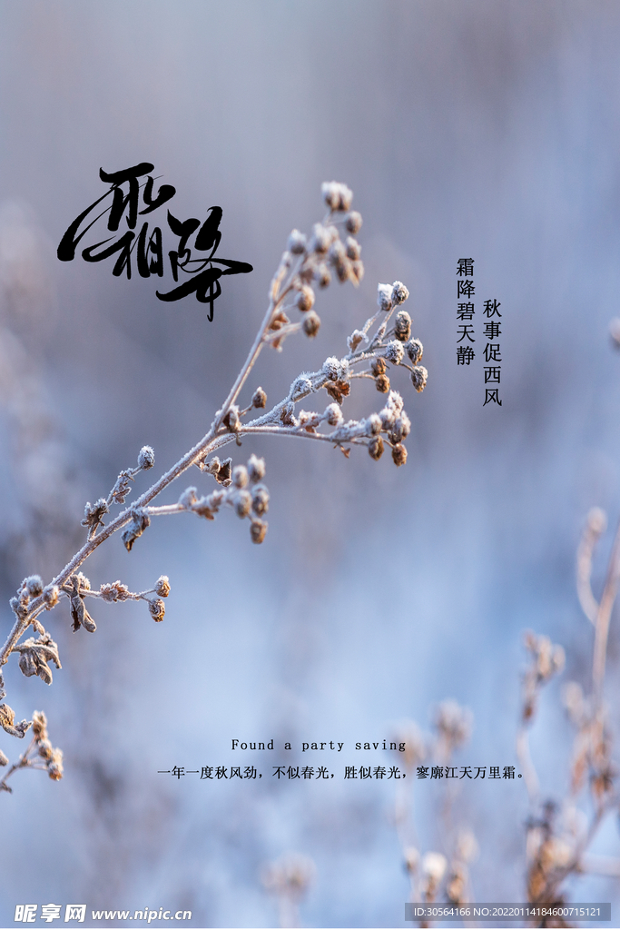 霜降