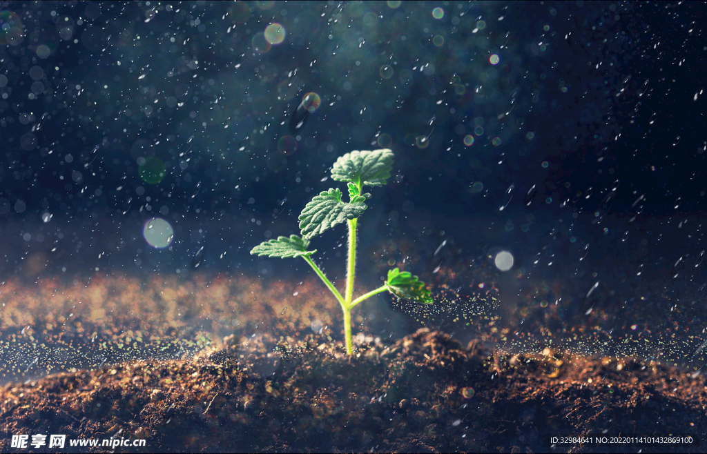 下雨