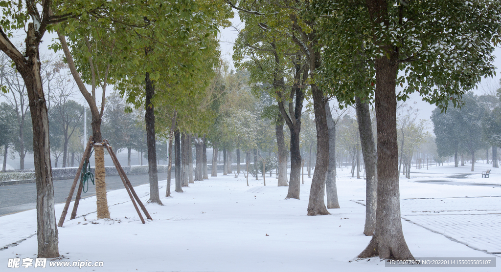 街边的雪