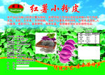 红薯小粉皮包装贴纸