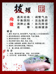 拔罐