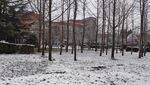 冬季景观摄影