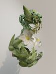 植物雕塑