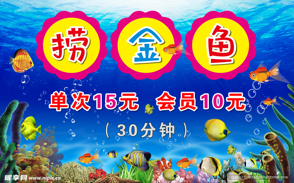 捞金鱼