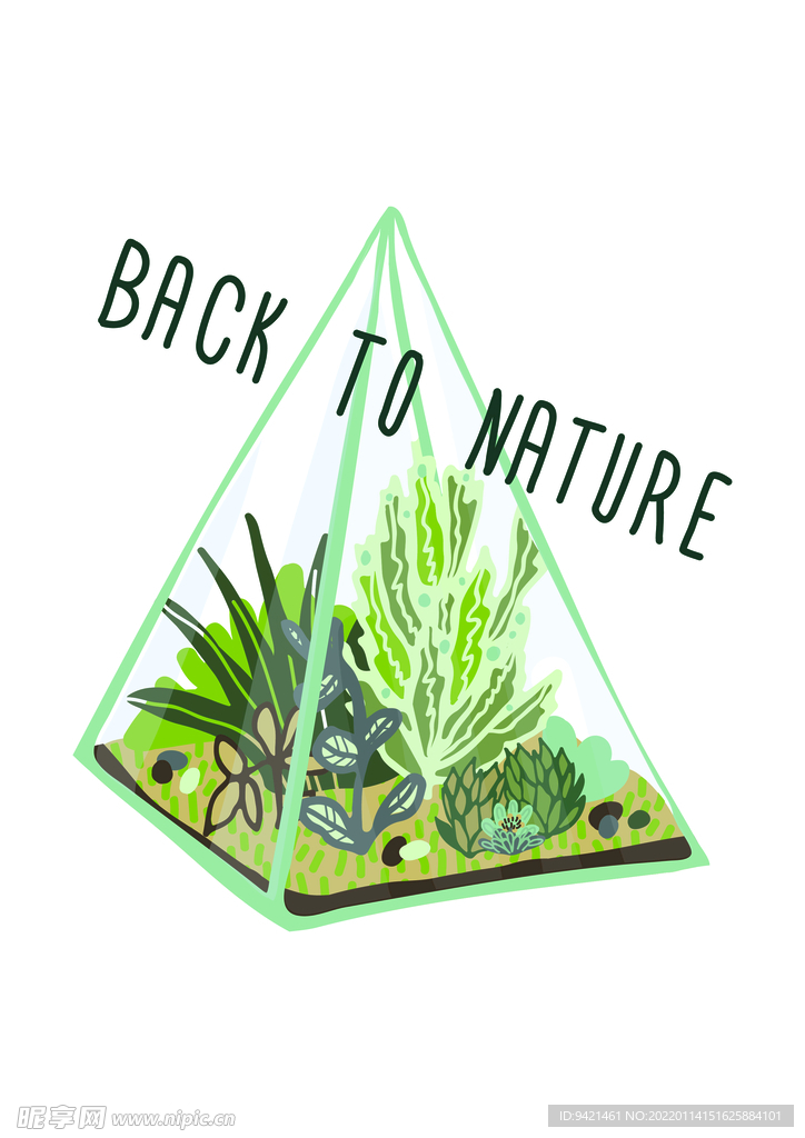 植物