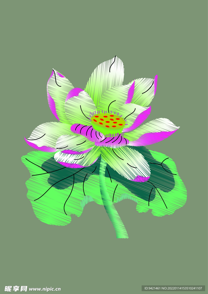 荷花