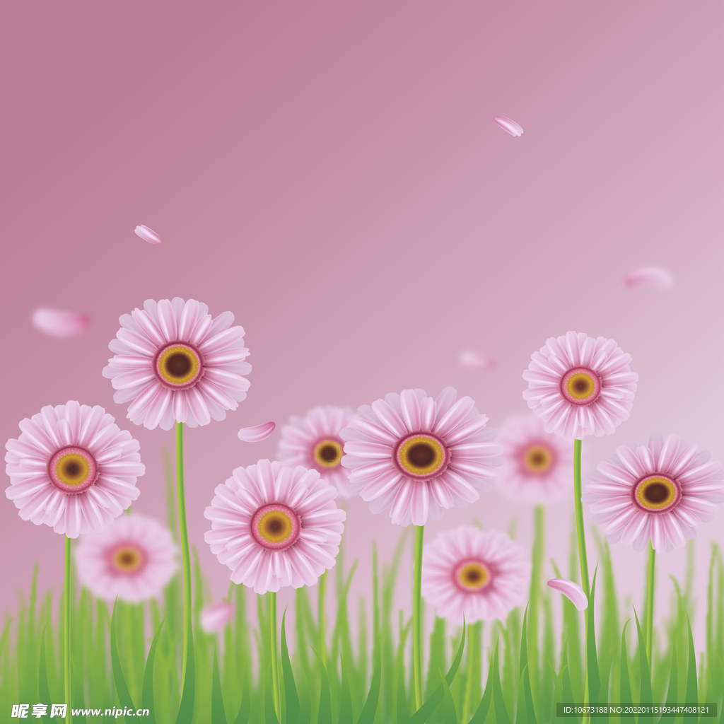 高清鲜花背景