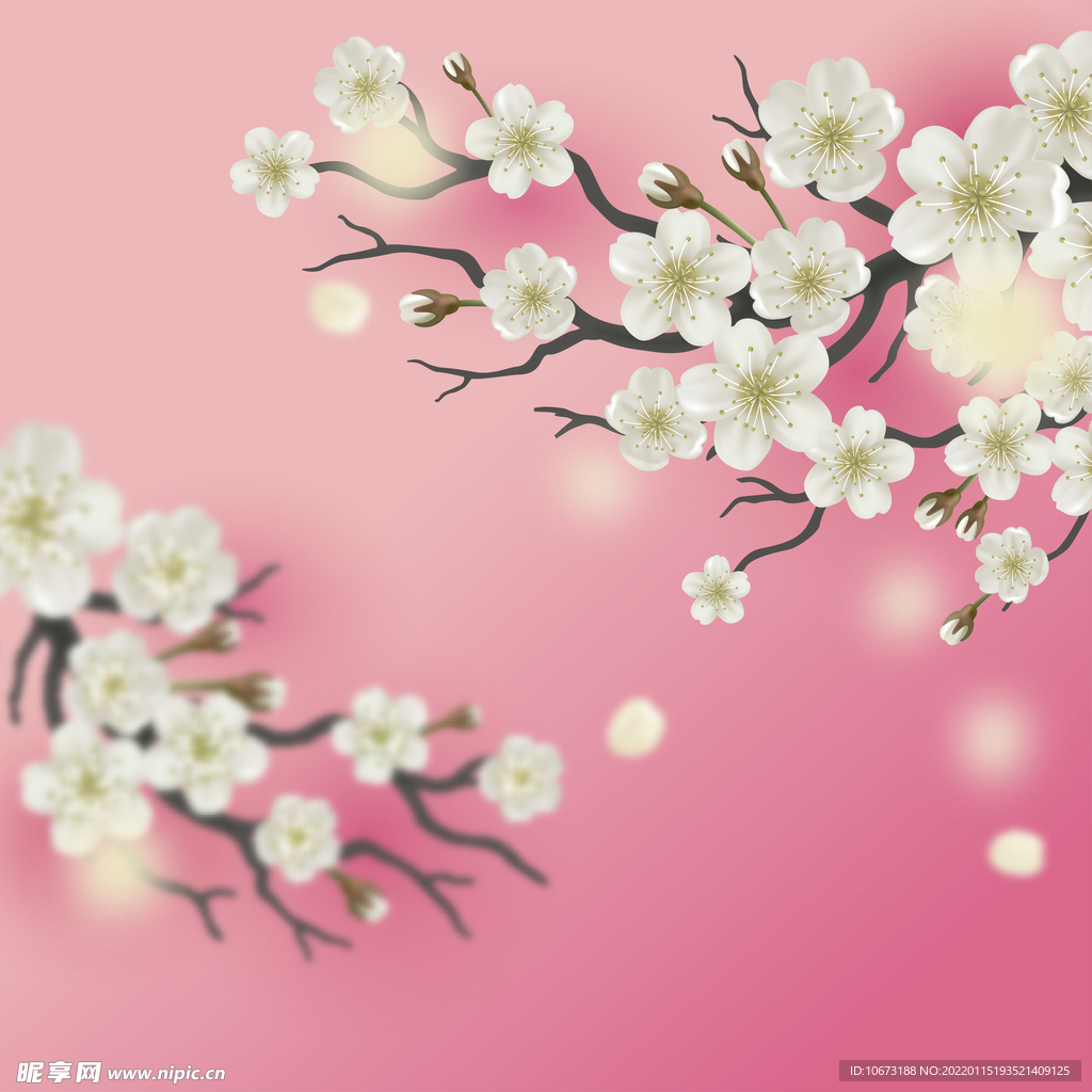 高清鲜花背景