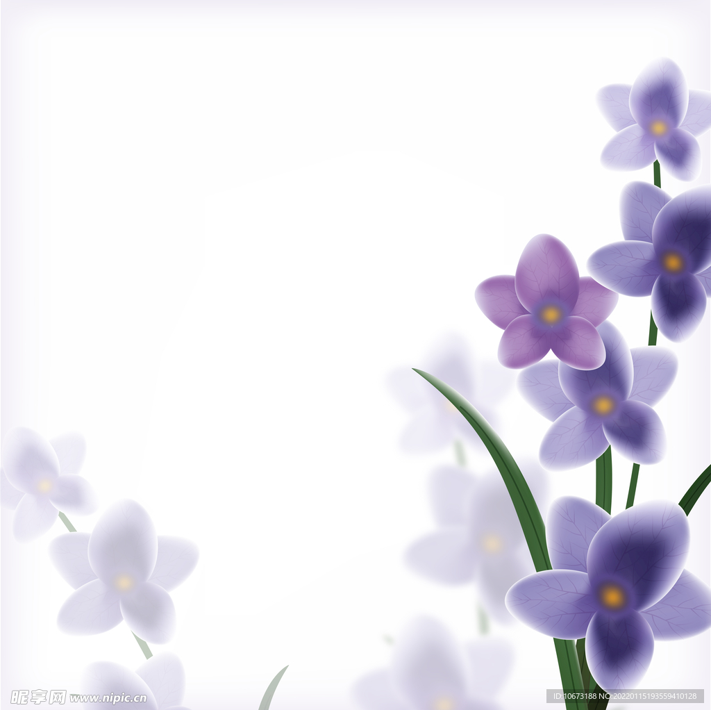 高清鲜花背景