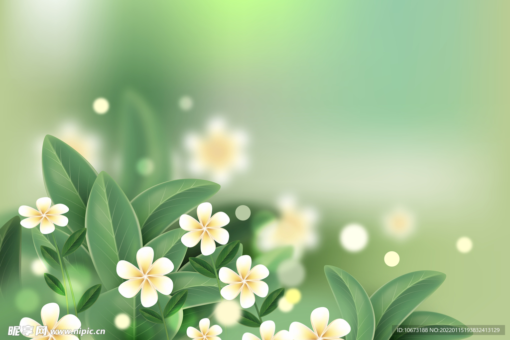 高清鲜花背景