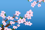 高清鲜花背景