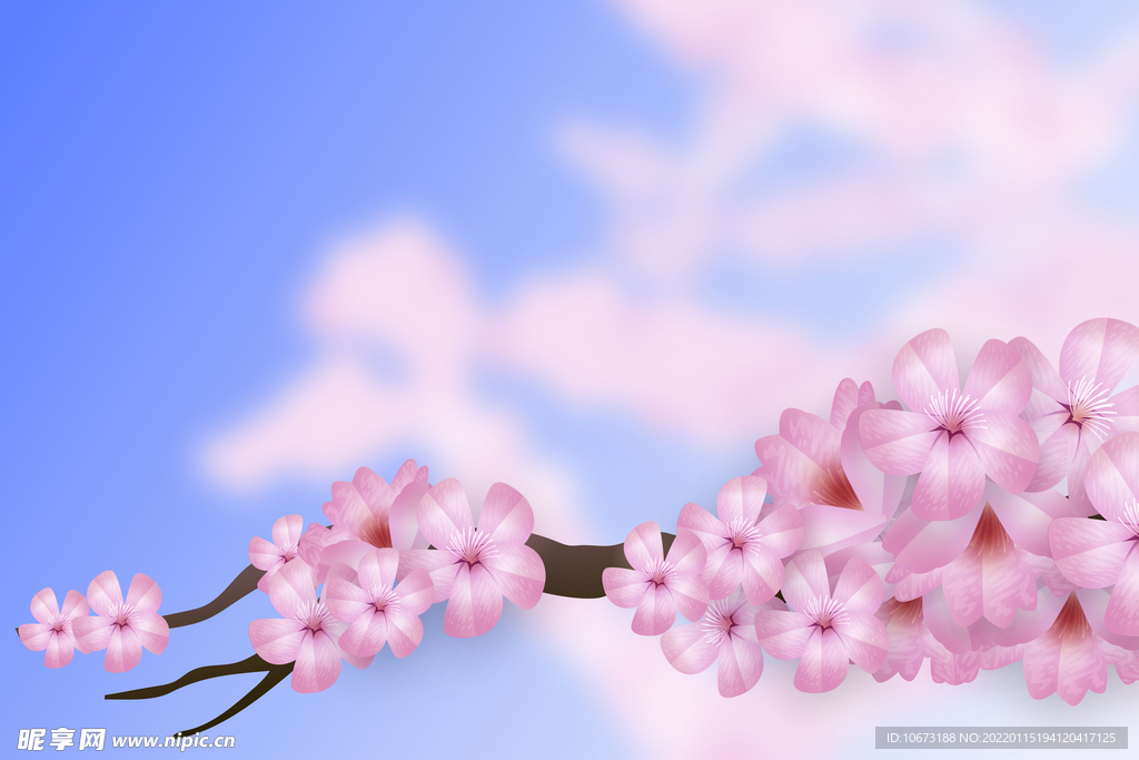 高清鲜花背景