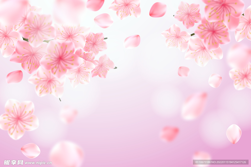 高清鲜花背景