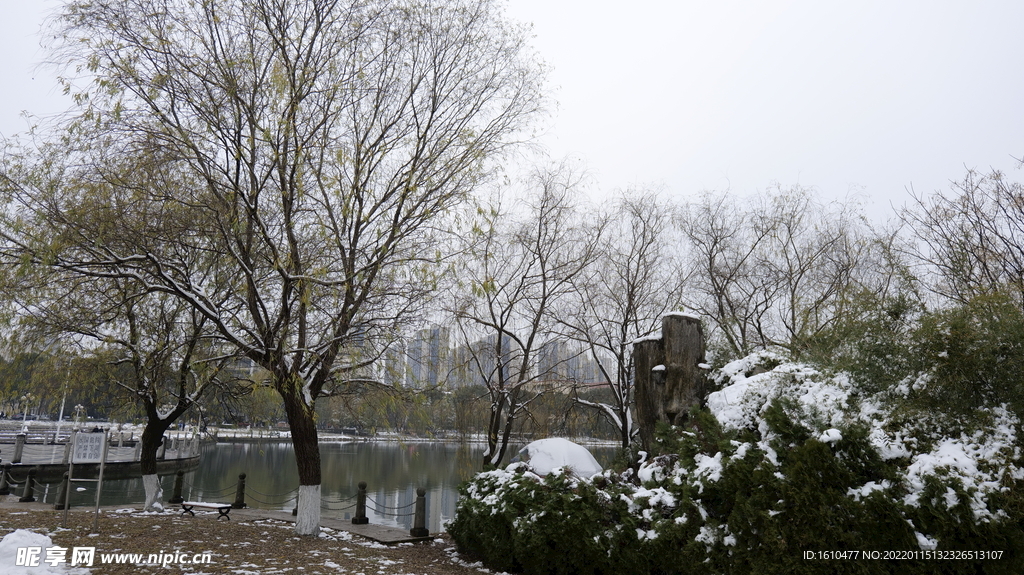 冬天雪景 文理学院 白马湖