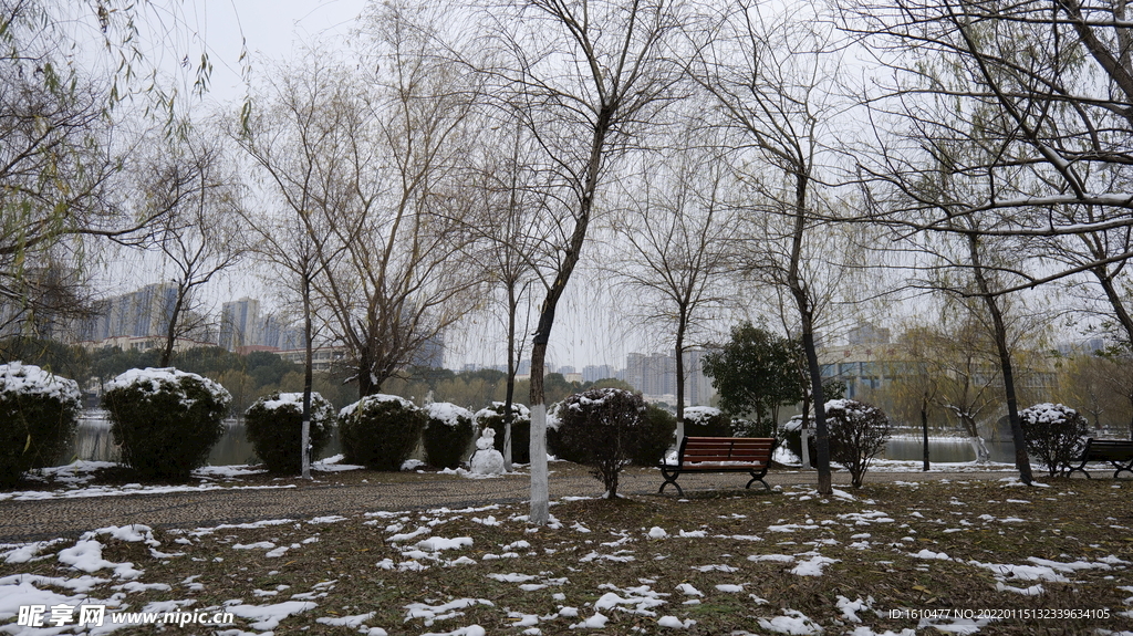 雪景 文理学院 小道