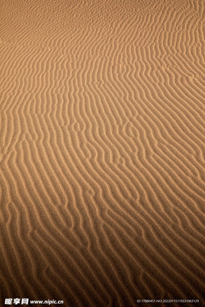 沙漠