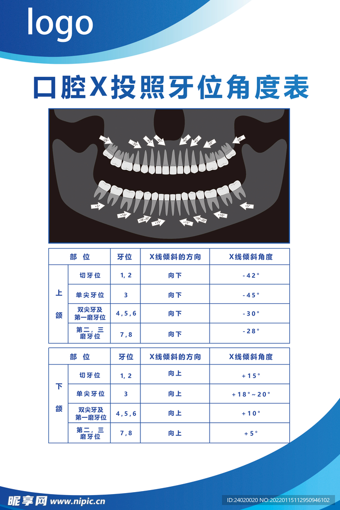 医院放射科口腔X投照牙位角度表