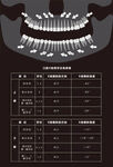 医院放射科口腔X投照牙位角度表