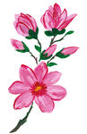 花