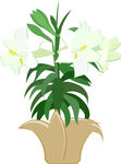 花