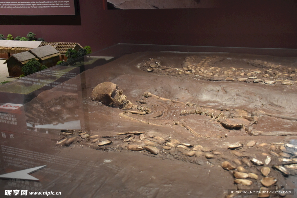 古代人类骸骨文物人骨化石考古