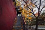 禅院寺庙