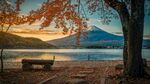 山水