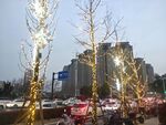 街景