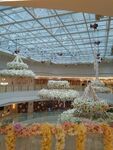 婚礼现场