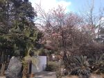 郫都区公园