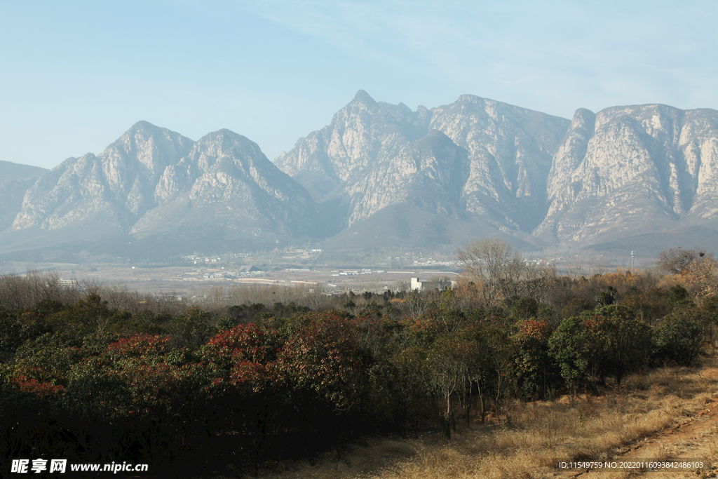 少室山冬景