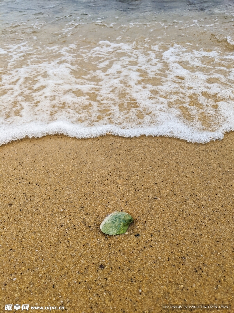 贝壳