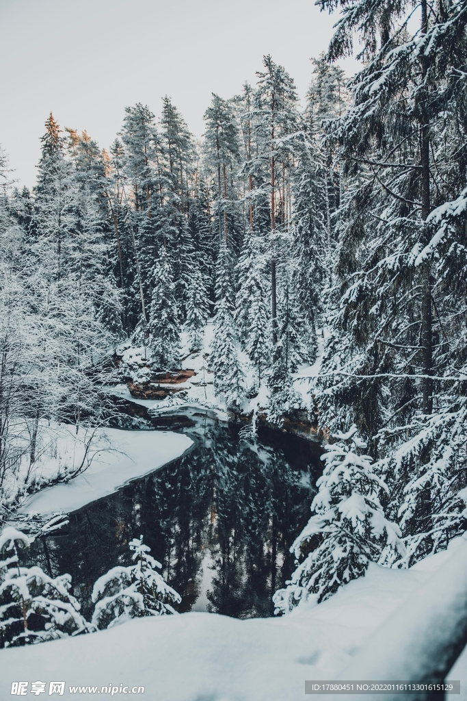 山林
