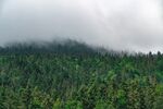 山林