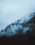 山
