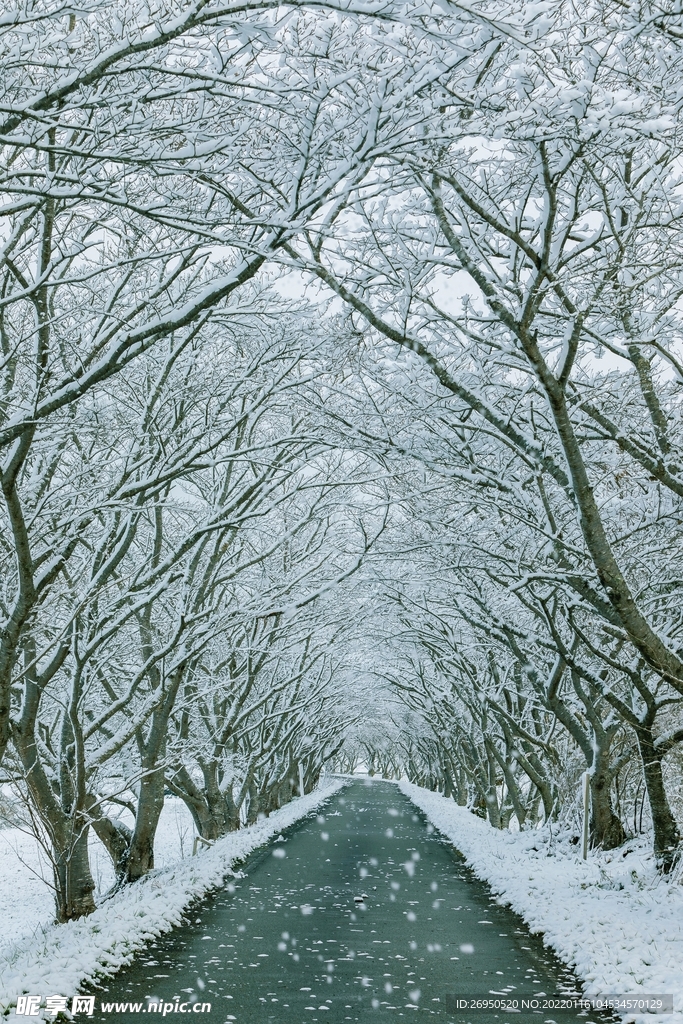 雪景