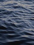 海