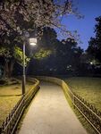 乡间小路