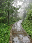 田间小路