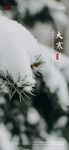 中国传统节气大寒