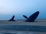 海边风景
