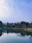 风景