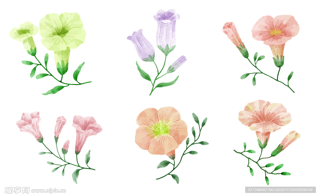 手绘花朵花卉