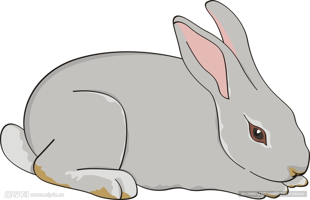 矢量兔子 可爱卡通兔子 