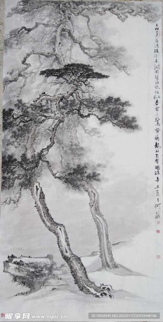 长松百尺
