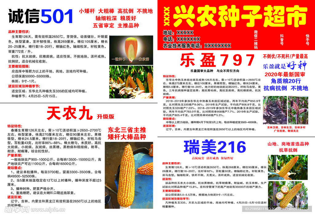 种子