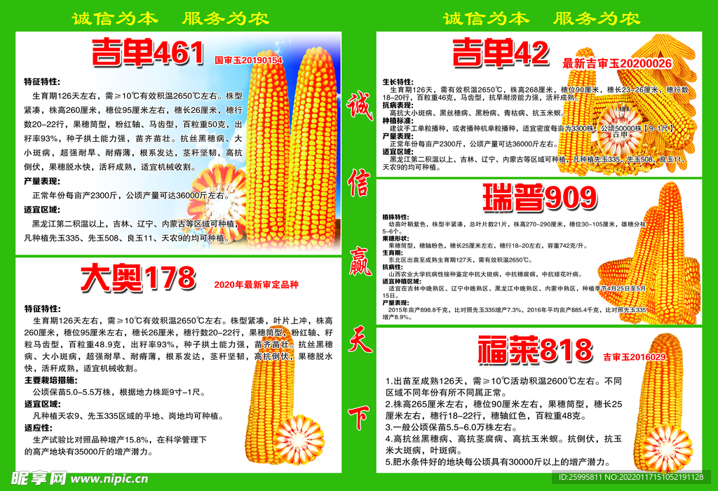种子