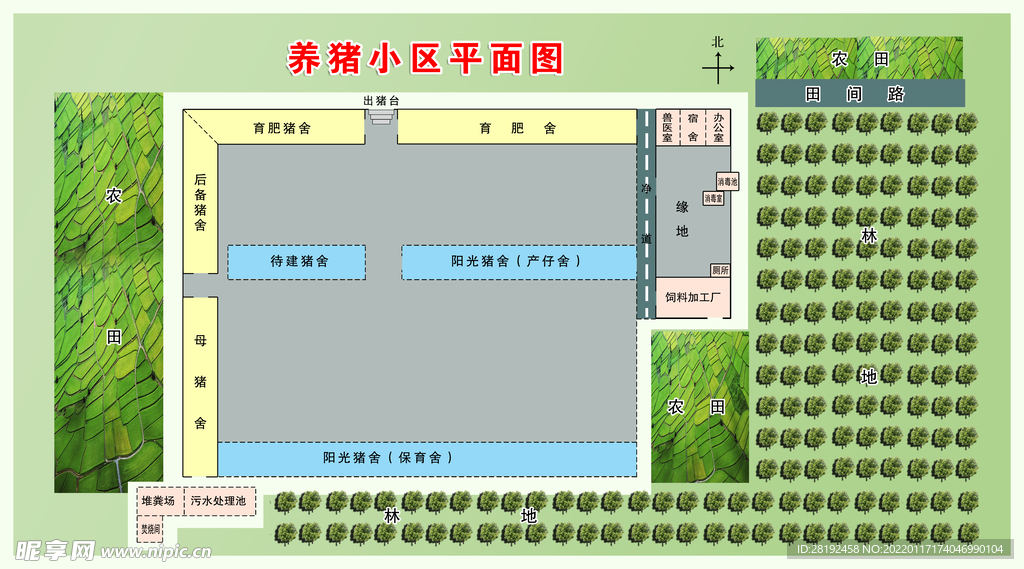 养猪小区平面图