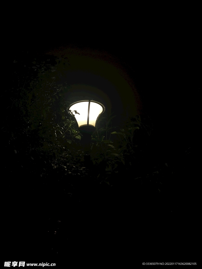 夜灯